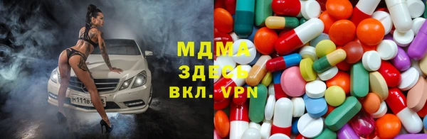 стафф Гусев
