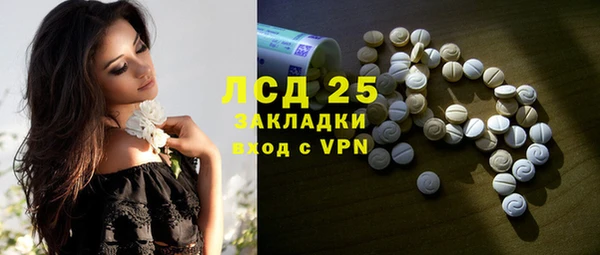 стафф Гусев