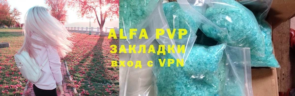 стафф Гусев