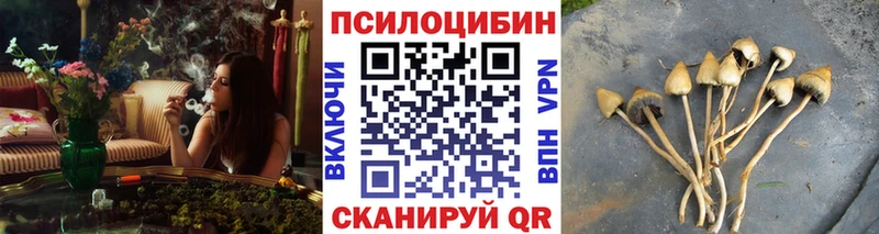 Галлюциногенные грибы Psilocybine cubensis дарнет шоп Пикалёво